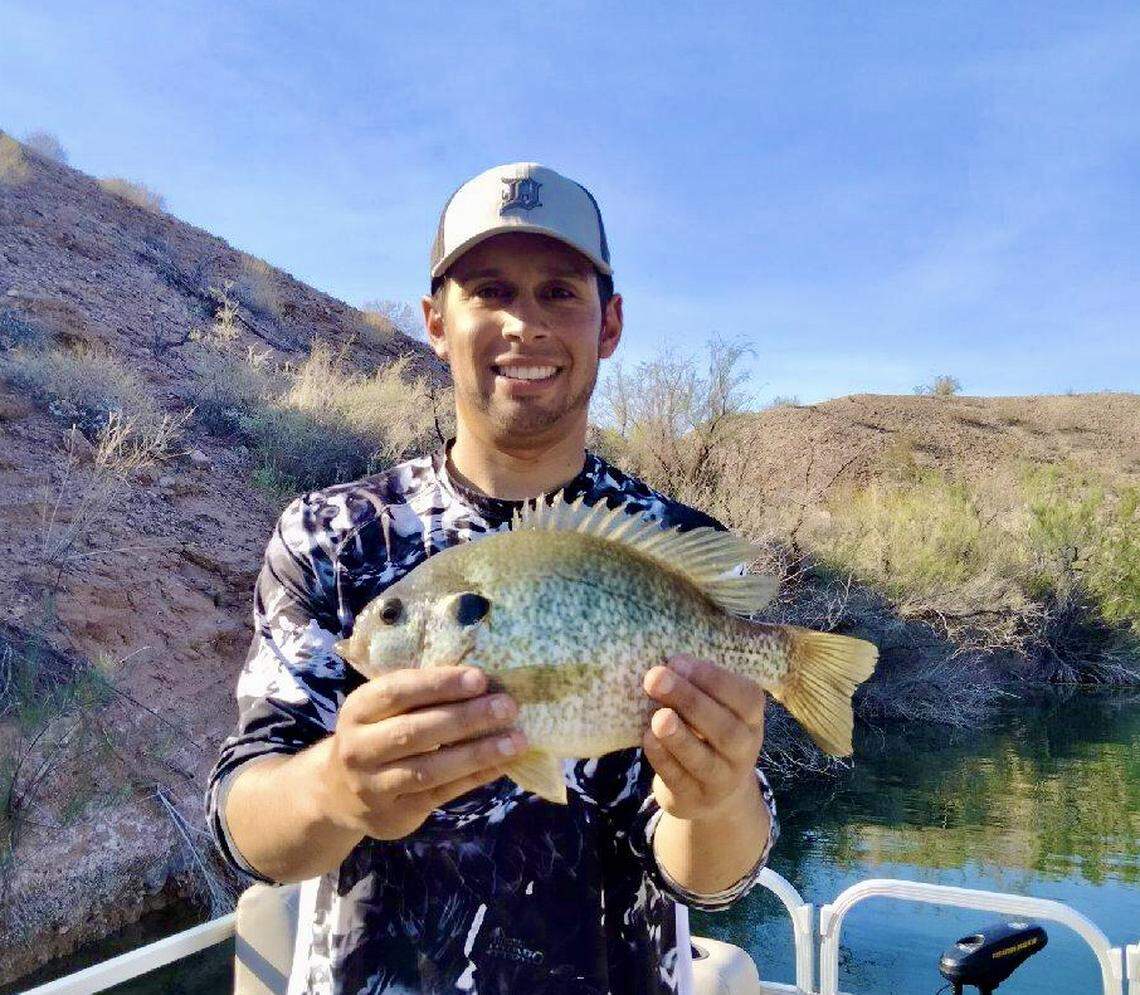 Arizona’s Lake Havasu is famous for growing huge redear sunfish — specimens like this 1.8 pounder are relatively common, and world-record giants over five pounds are possible!