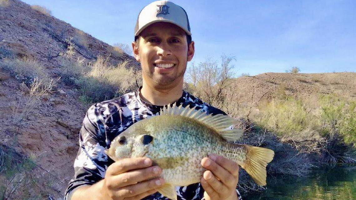 Arizona’s Lake Havasu is famous for growing huge redear sunfish — specimens like this 1.8 pounder are relatively common, and world-record giants over five pounds are possible!