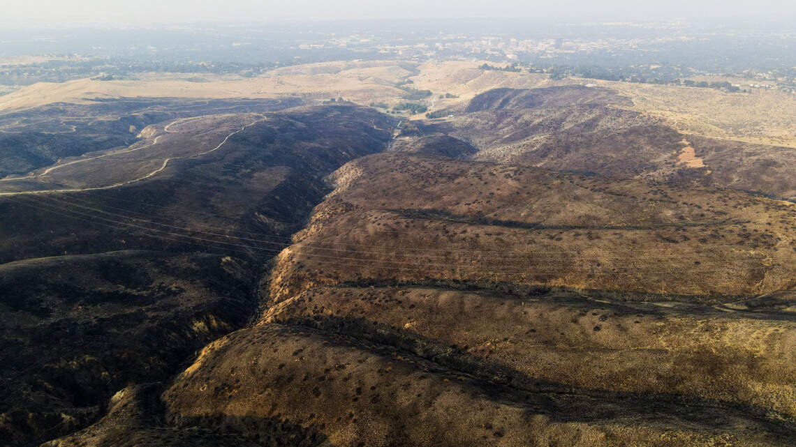 Claremont Fire torched a huge swath of Boise Foothills. What did we learn?