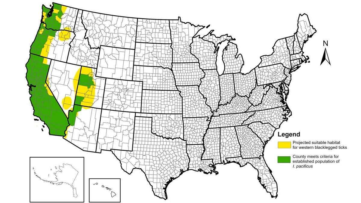 Counties with established western blacklegged ticks (Ixodes pacificus) and projected suitable habitat for the ticks through 2025.
