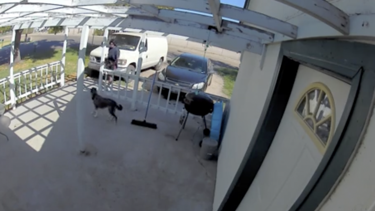 A frame from the video, which eventually showed a man hitting a dog in a Caldwell neighborhood. The footage was captured on a Ring doorbell camera and posted to Nextdoor.