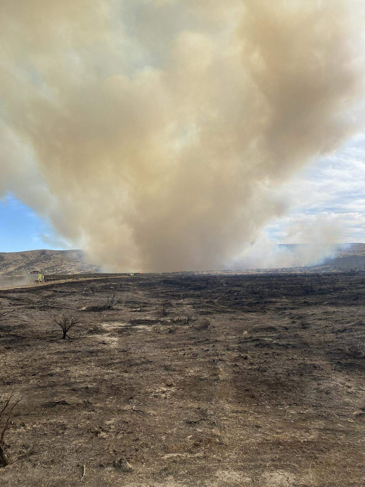The Leeds Fire quickly grew to 100 acres in less than two hours.