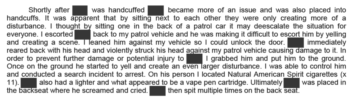 An excerpt of the November 2019 police report by Boise Police Officer Tyson Cooper.