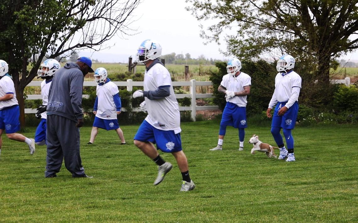 Members of Idaho’s professional indoor football team, the Idaho Horsemen, play for little recognition, little money and long practice hours, simply for their love of football. They are so fledgling that they practice in their coach’s backyard, although that nets them a staff member’s puppy who warms up with them, and occasionally runs drills as well.