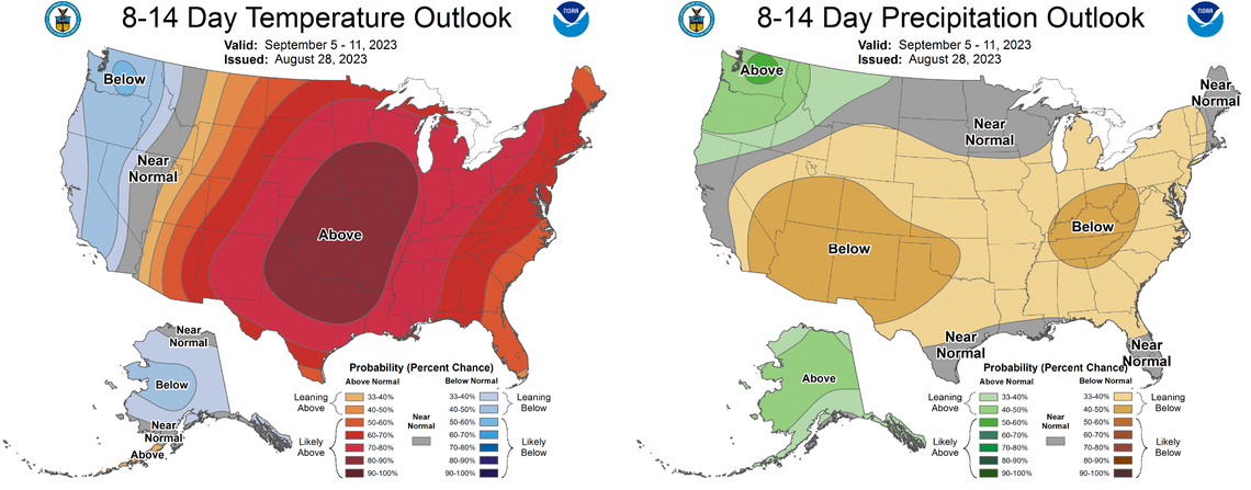 The cooler weather could continue for Boise into September, with a small chance of below-average temperatures and above-average rainfall possible.