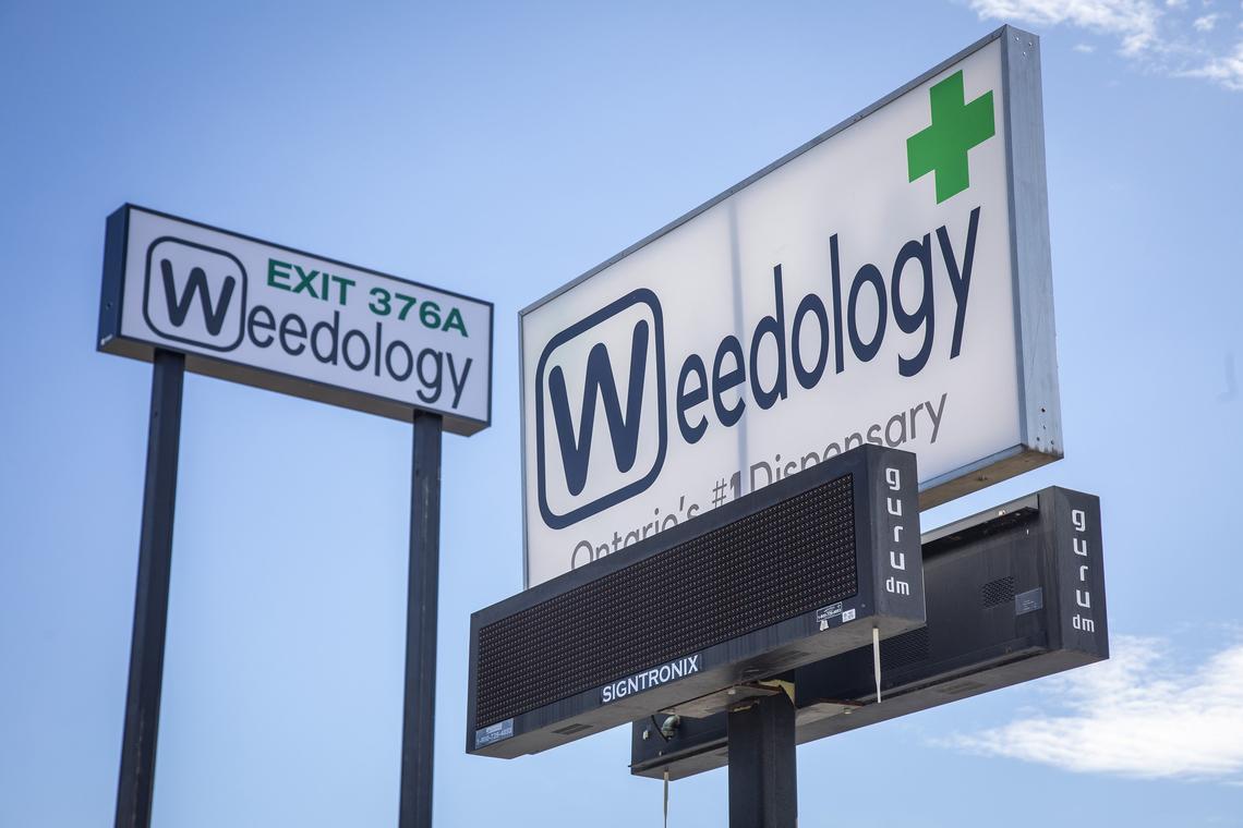 A billboard for cannabis dispensary Weedology, located on the Idaho-Oregon state line in Ontario, in 2019. Idaho Rep. Judy Boyle, R-Midvale, reintroduced a bill to ban ads for illgal products and services in the state, including marijuana.