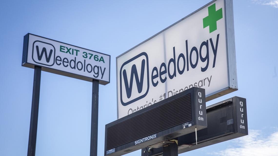 A billboard for cannabis dispensary Weedology, located on the Idaho-Oregon state line in Ontario, in 2019. Idaho Rep. Judy Boyle, R-Midvale, reintroduced a bill to ban ads for illegal products and services in the state.