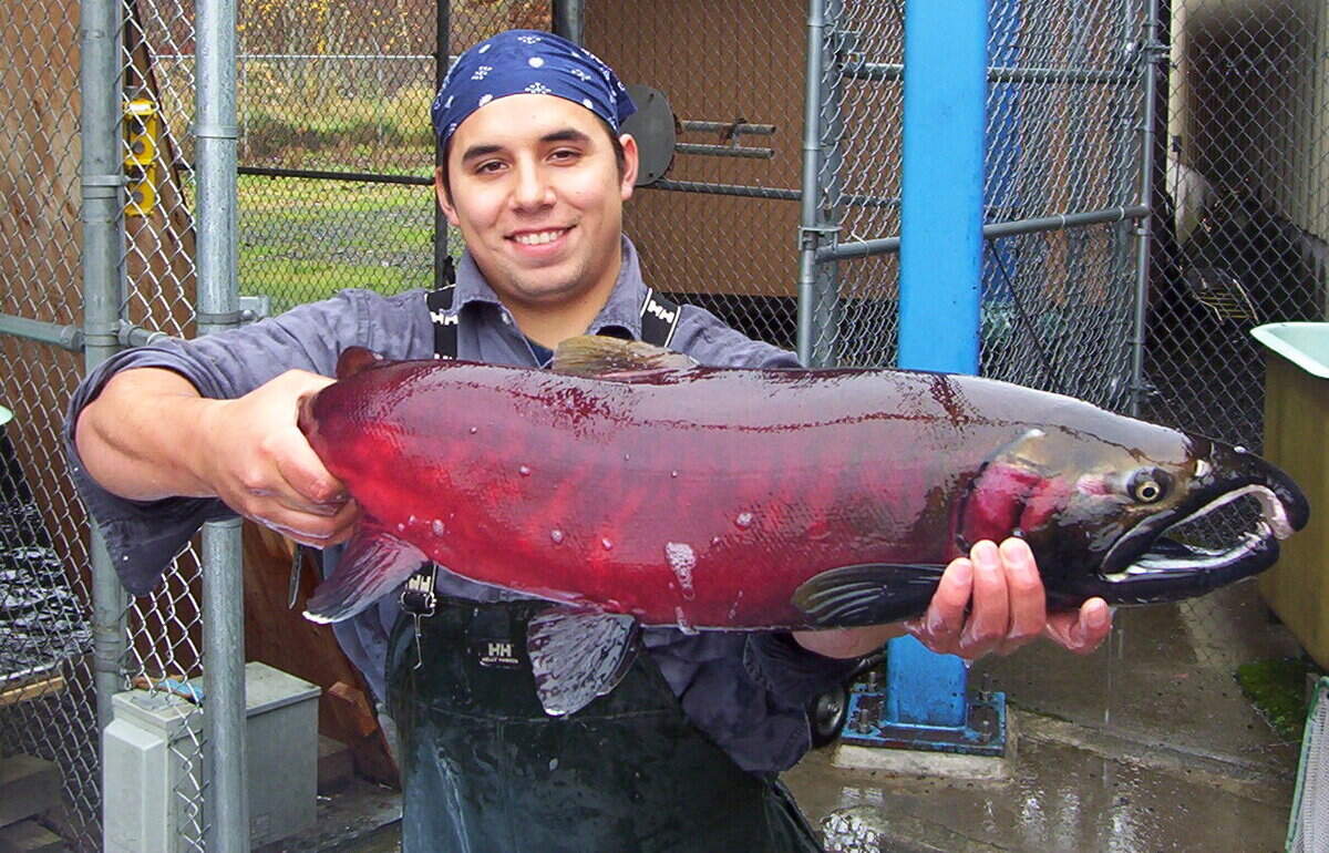 Zach Penney is half Nez Perce and half Polish-Swedish. His work at the Columbia River Inter-Tribal Fish Commission combines science and policy to guarantee the presence of salmon in the river.