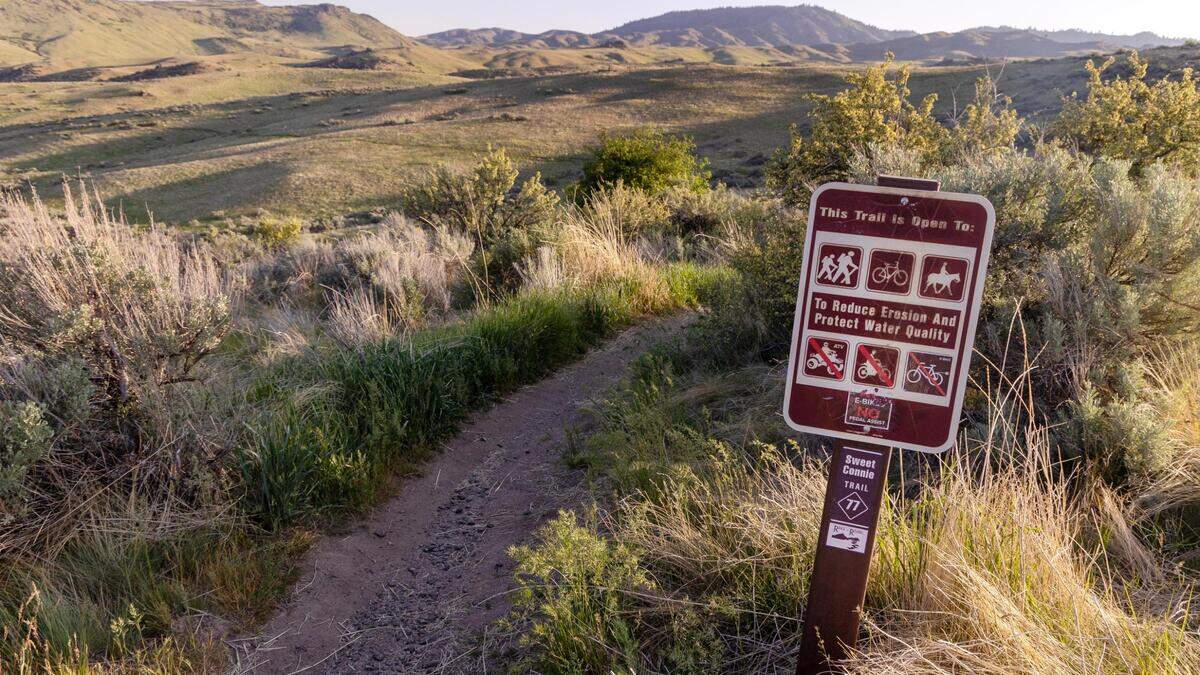 Sweet Connie Trail