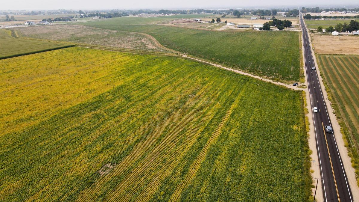 “Southwest Meridian is a highly desirable area of our community in the heart of the Treasure Valley,” said Patrick Connor, Hubble Homes’ director of planning and design. “The project’s quick access to Amity and then to Ten Mile Road toward the west and Meridian Road toward the east provides two recently improved quick-access options to I-84.”