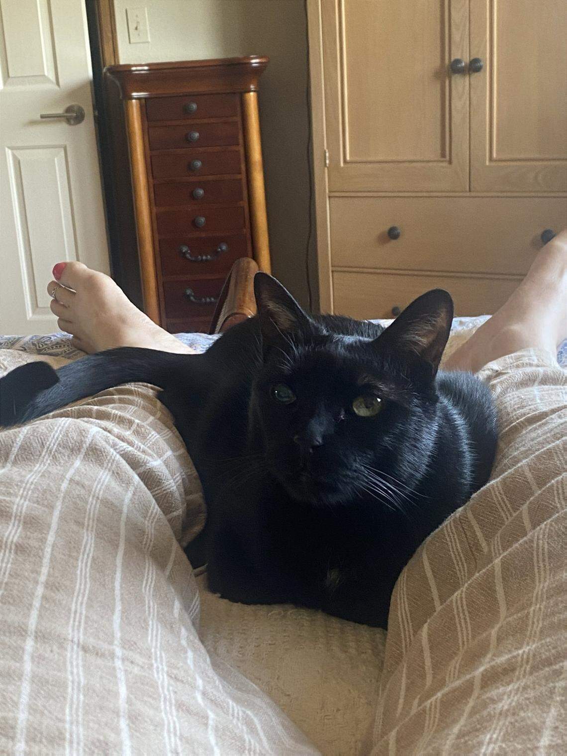 Meow is a black cat with vision impairments and neurological issues