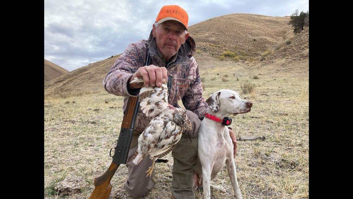 ‘Never seen anything like that’: Idaho hunter finds unusual ‘piebald’ gray partridge