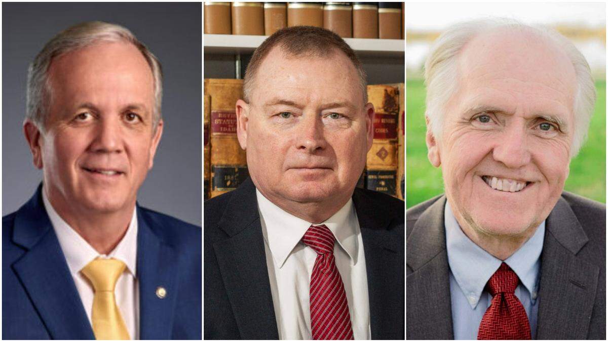 Who is running to represent Idaho’s Legislative District 8? Hear from the candidates