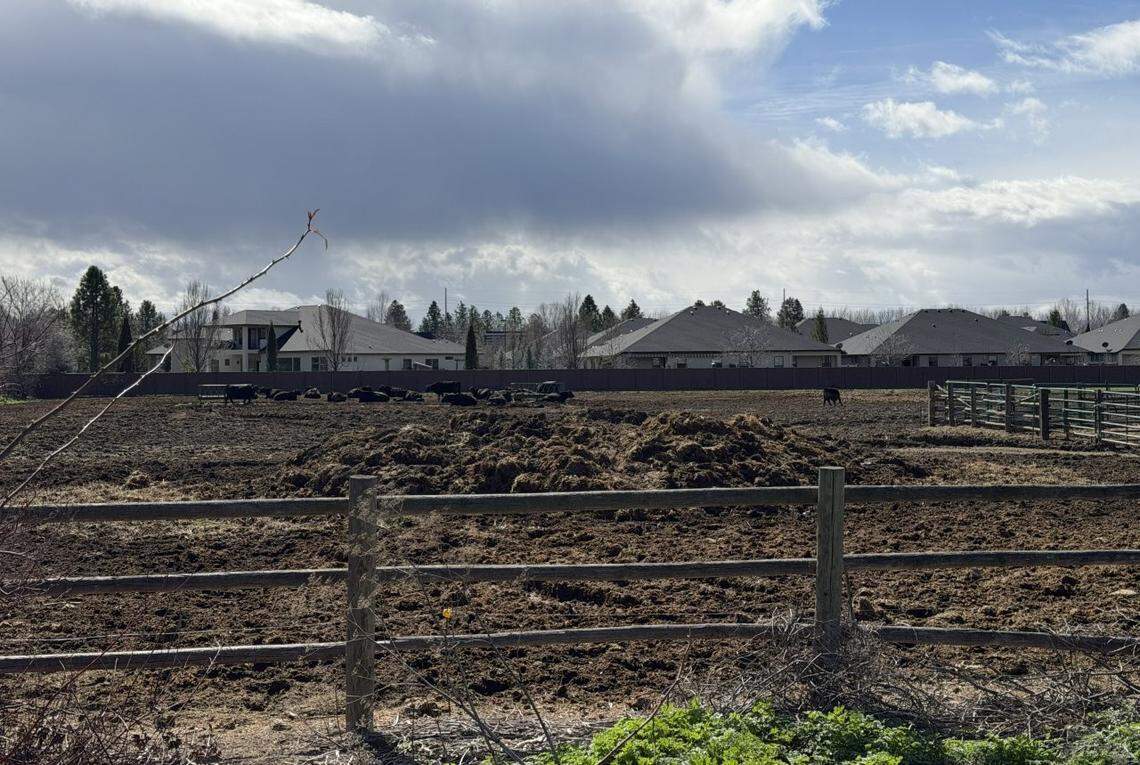 The property borders Steve Booth’s fence, allowing cattle to walk right to the property line.