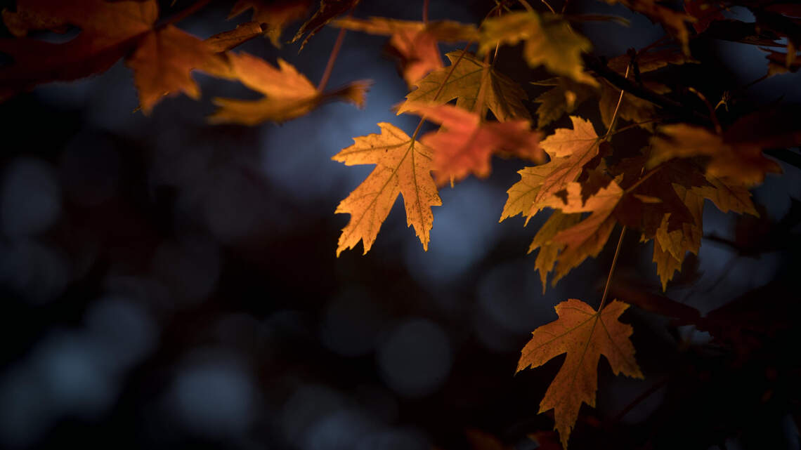 When will Boise see its first frost this fall? Here’s what forecasters say