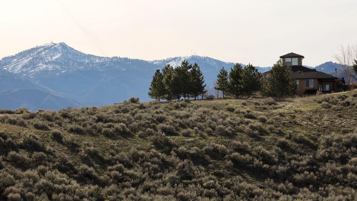The vegetation around Summit Ridge Ranch is sagebrush and cheat grass, which provide fuel for wildfires.