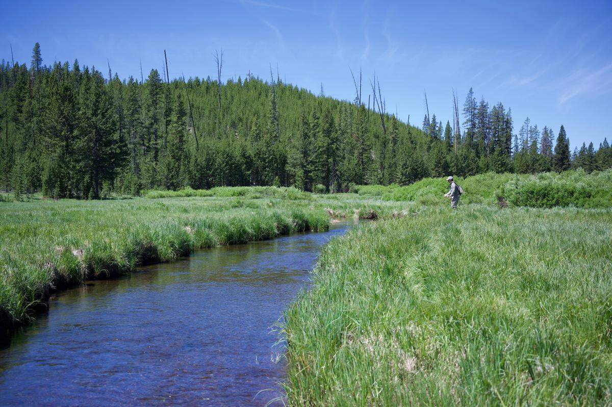 Ritz (pictured) started the Mountain West leg of his trip to Yellowstone National Park where he pursued the native but now difficult to find Westslope cutthroat trout.