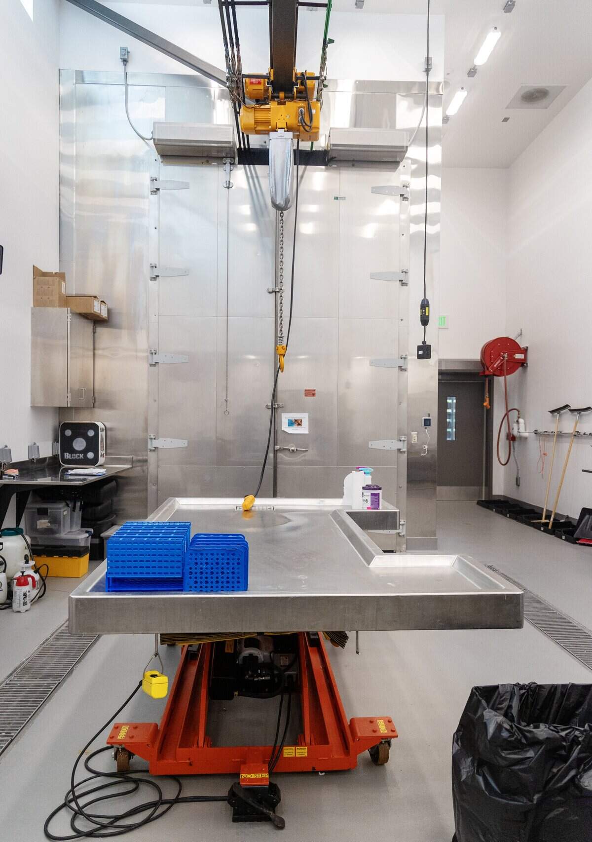 The necropsy lab at the Animal Health Laboratory can accommodate large animals.