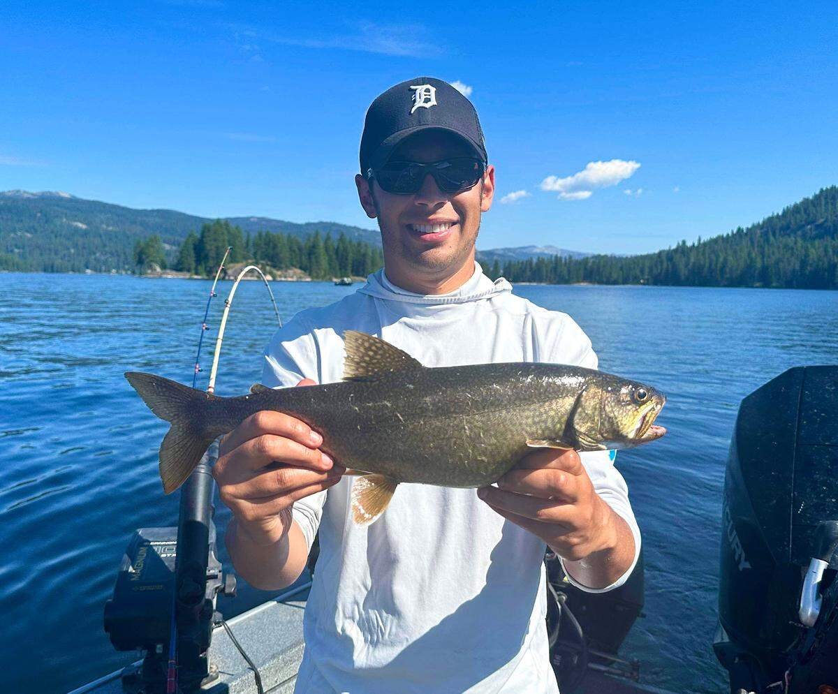 Idaho Fish and Game has removed some Mackinaw trout from Payette Lake to try and balance the fishery—and those that remain appear to be fat and healthy. 