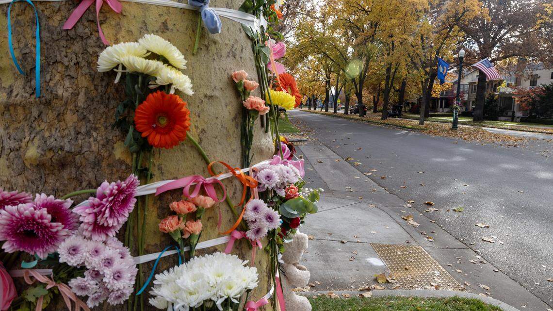 A memorial of flowers, ribbons, cards and stuffed animals surrounds a tree and sign poles at the intersection of Harrison Boulevard and Ada Street, where a girl was fatally struck by a pickup truck on Tuesday.
