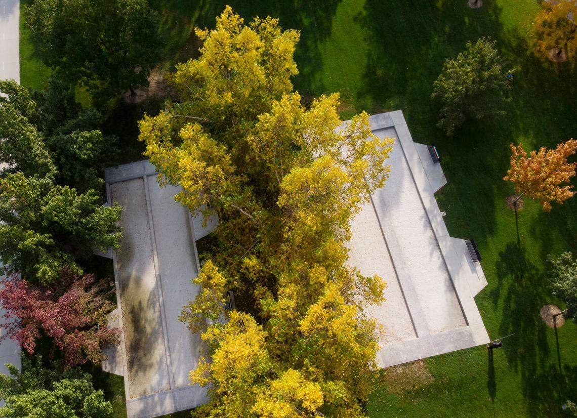 Some trees show fall colors near the bocce ball courts at Kristin Armstrong Municipal Park in Boise in October 2022.