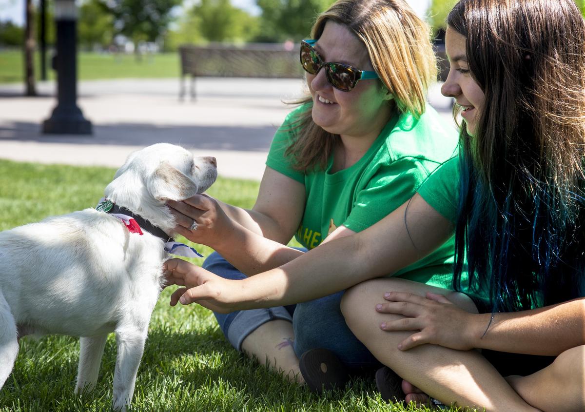 Charlie, a 14-year-old pug / chihuahua mix, soaks up attention from Heidi Hopwood, center, and her daughter, Zelie Zeleon, 10. They are fostering a 13-year-old hospice dog with Green Heart Rescue. “It feels like such an honor to be the person who gets to give them their best life for as long as they have left,” says Hopwood.