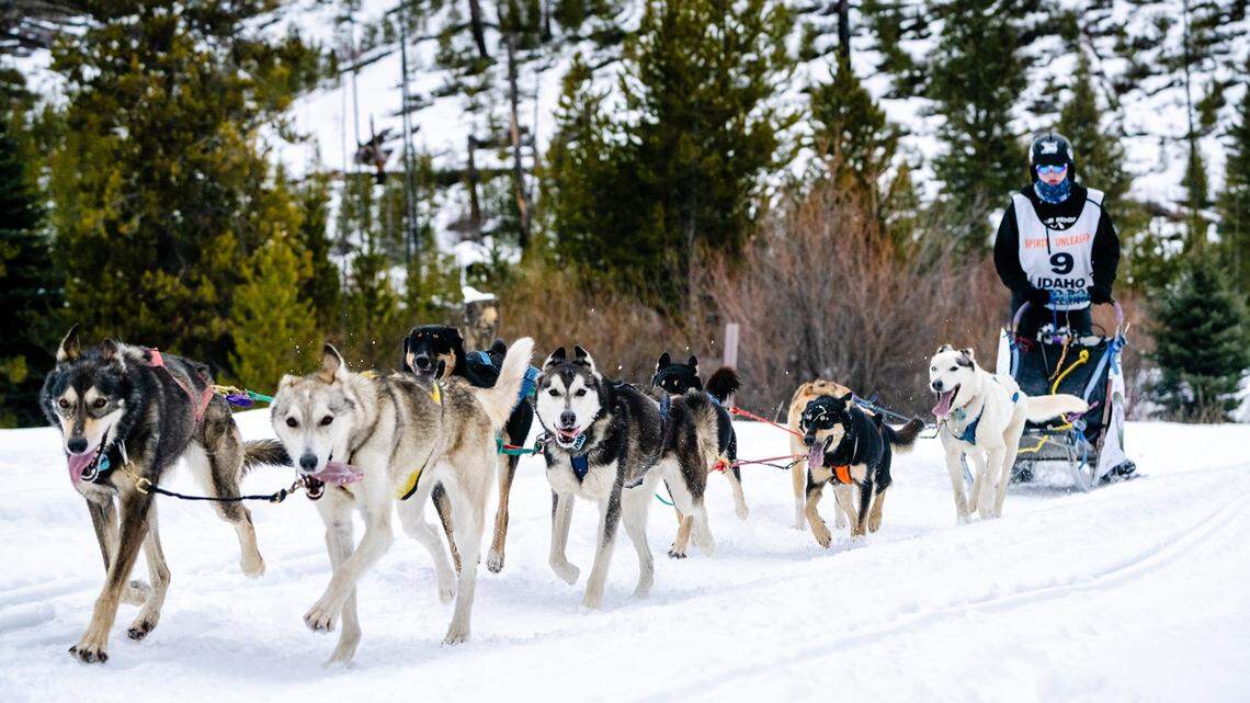 An Idaho dog sled race got mushers to the Iditarod. It just ended for good