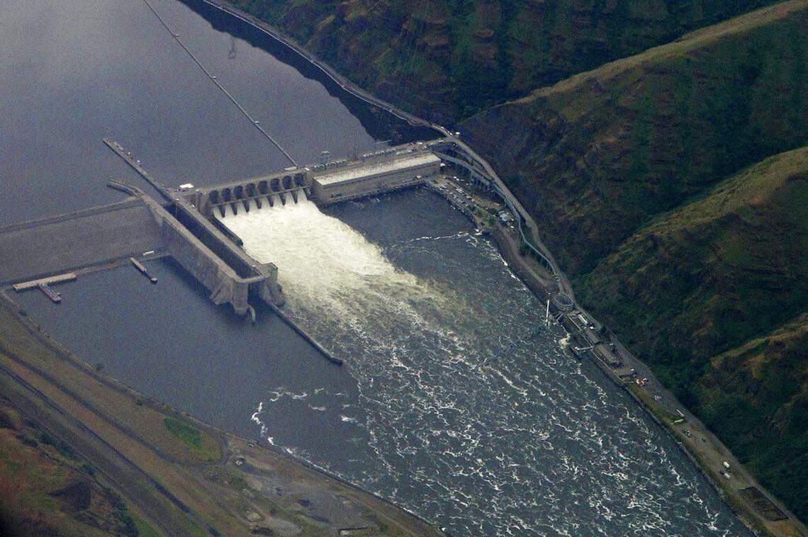 The Lower Granite Dam on the Snake River is seen from the air near Colfax, Washington, in 2019. Environmental groups have fought for years to remove four dams on the Snake River in Washington state they say are killing salmon.