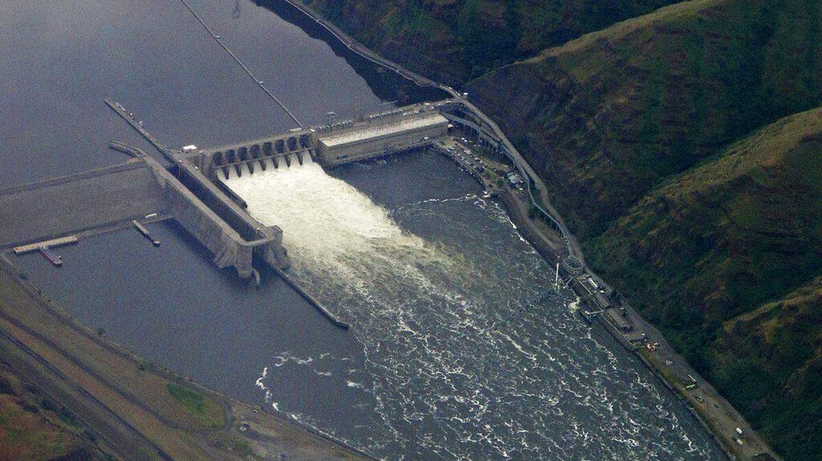 The Lower Granite Dam on the Snake River is seen from the air near Colfax, Washington. It is one of the four dams that advocates want breached eventually.