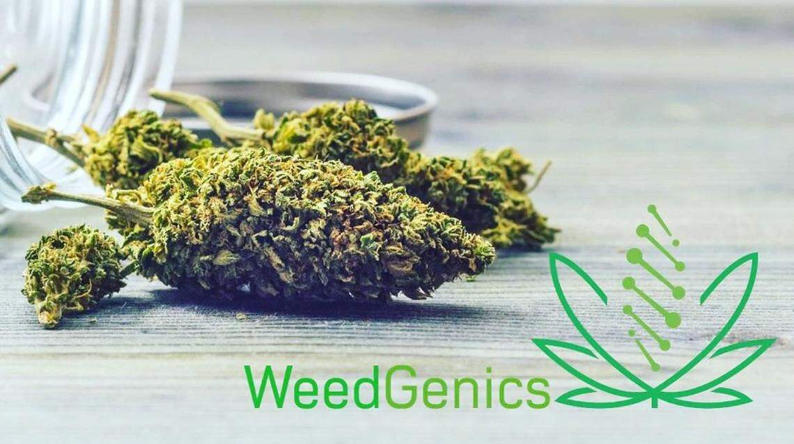 An image advertising WeedGenics’ products that was posted to X, the platform formerly known as Twitter, in March. 