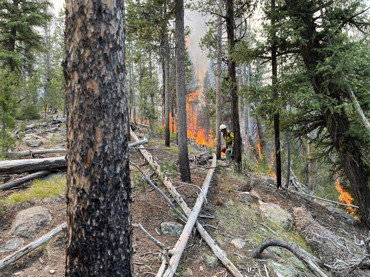 Firefighters work on the Bench Lake Fire near the 101 Trail on July 16.