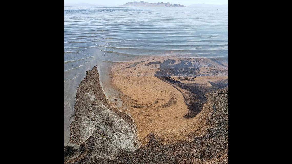Utah’s Great Salt Lake shared photos on Facebook showing the water is covered with a murky “oil slick” that is actually trillions of shrimp eggs
