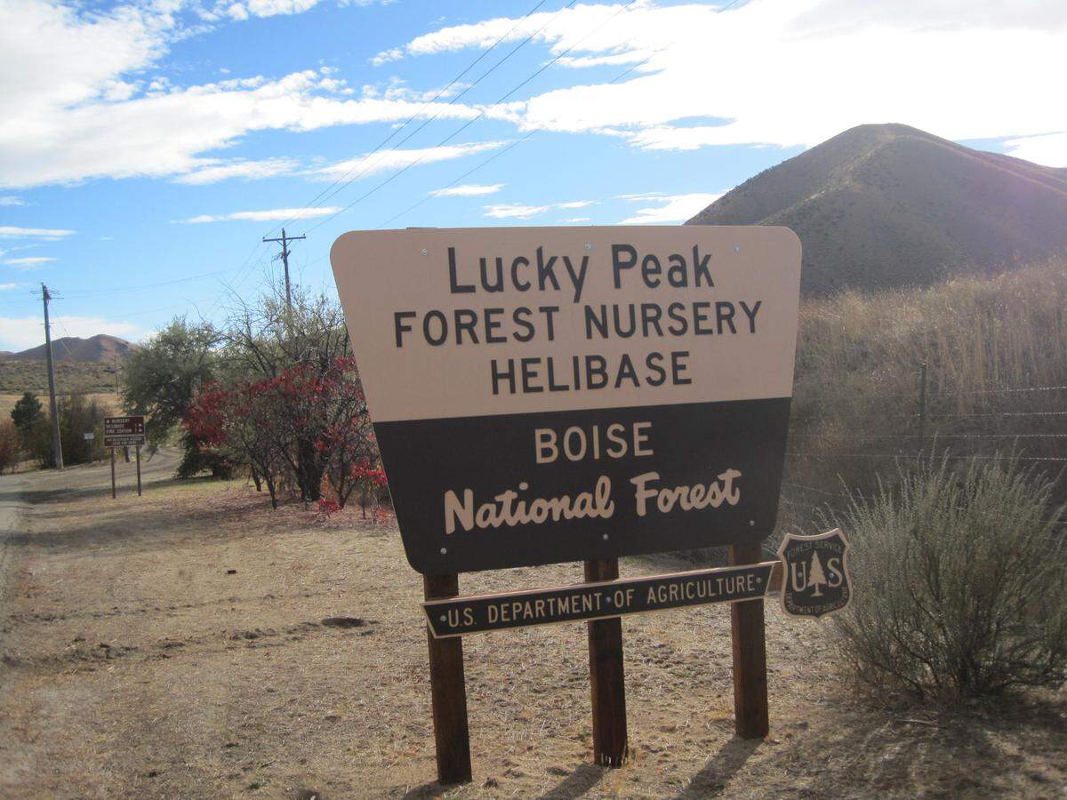 The Lucky Peak Nursery is one of six U.S. Forest Service nurseries in the country. One other, the Coeur d’Alene nursery, is also located in Idaho.