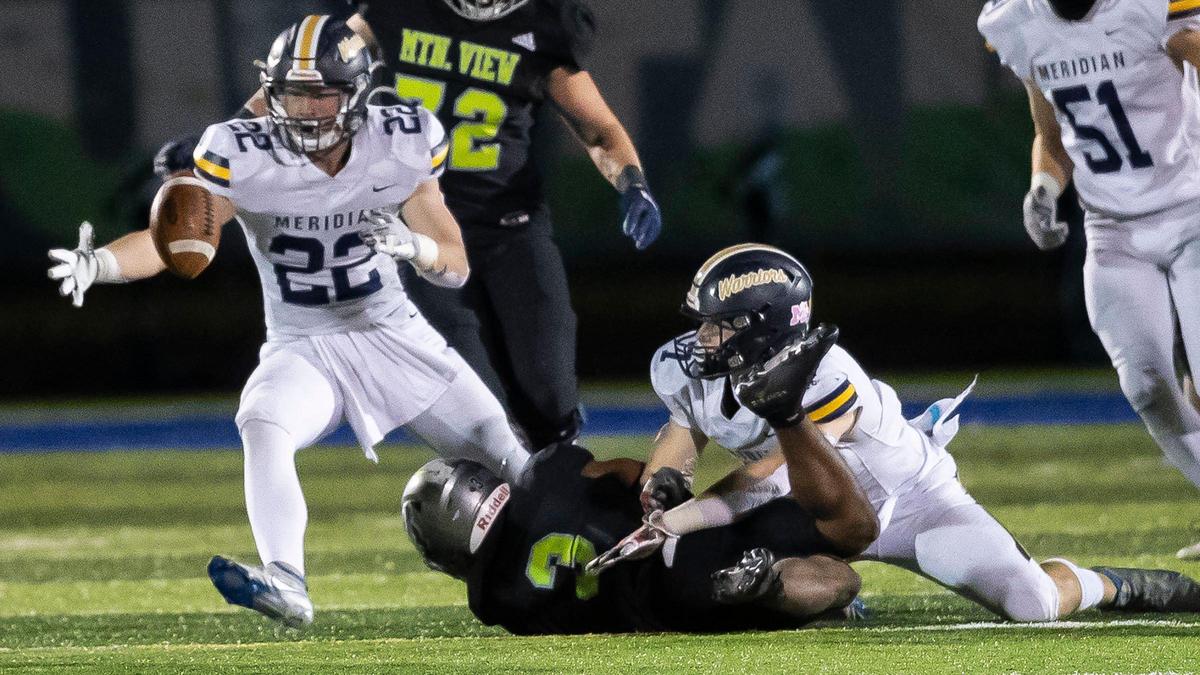 Meridian linebacker Max Gwilliam grabs a fumble against Mountain View in the 5A state quarterfinals.