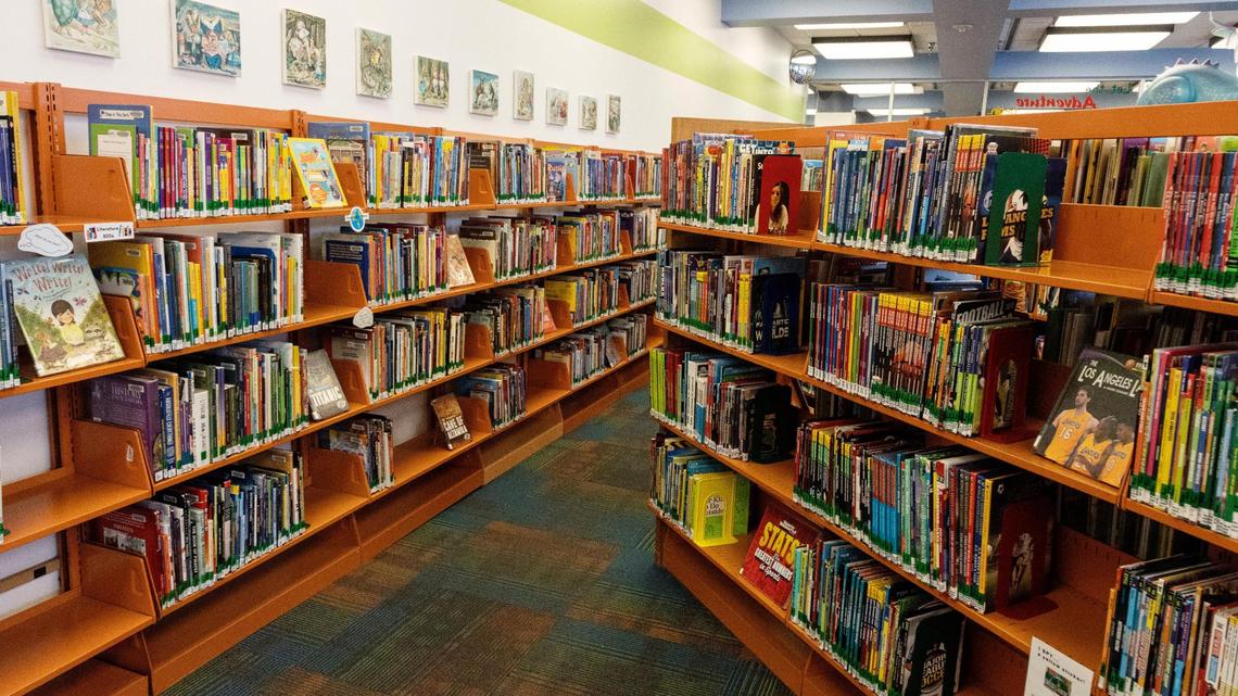 Libraries offer thousands of books on thousands of topics, but there have been mounting efforts to censor what books libraries carry. House BIll 314 is the latest attempt.
