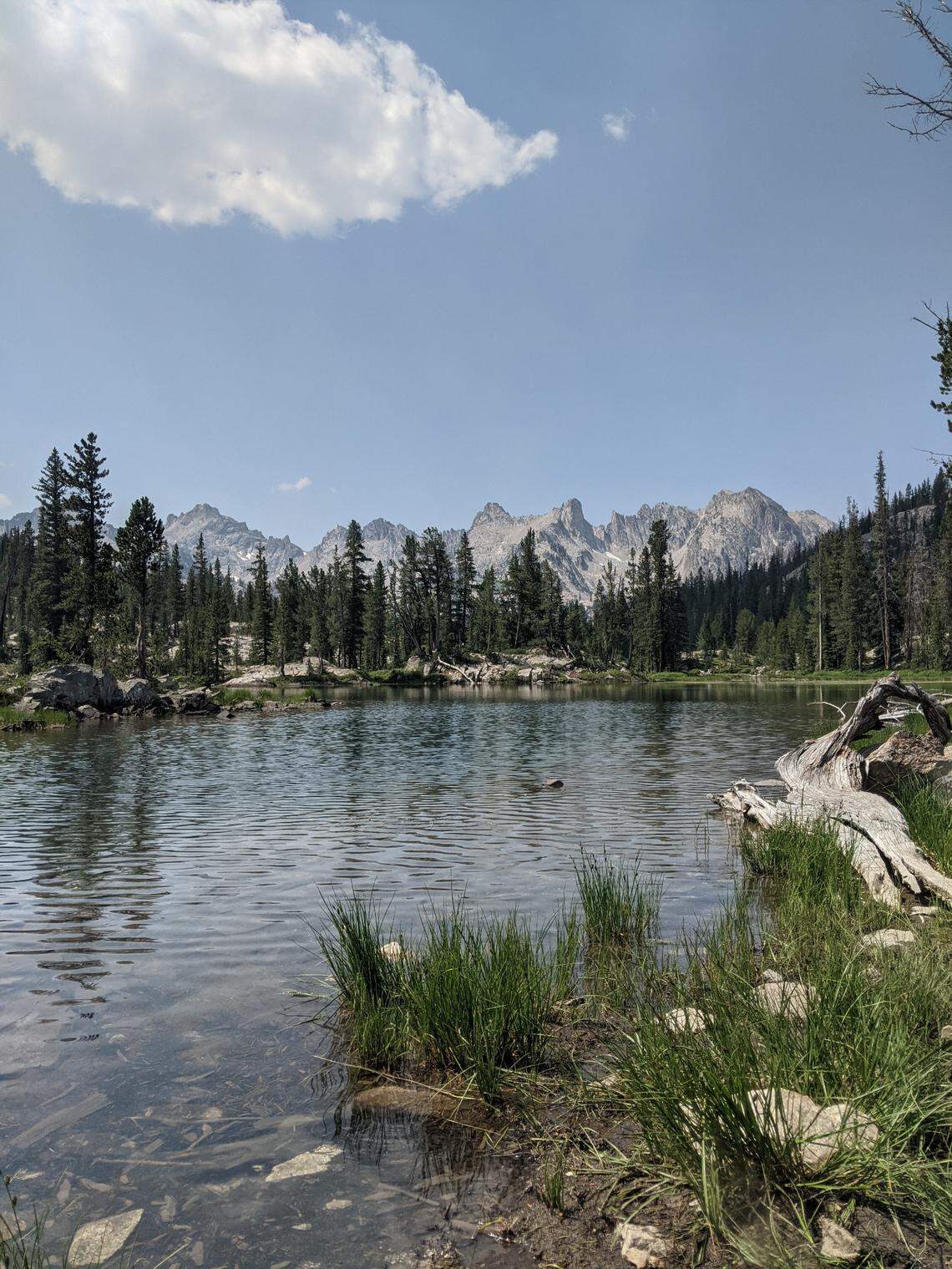 Alice Lake is about a 6-mile trek from Tin Cup Trailhead south of Stanley.