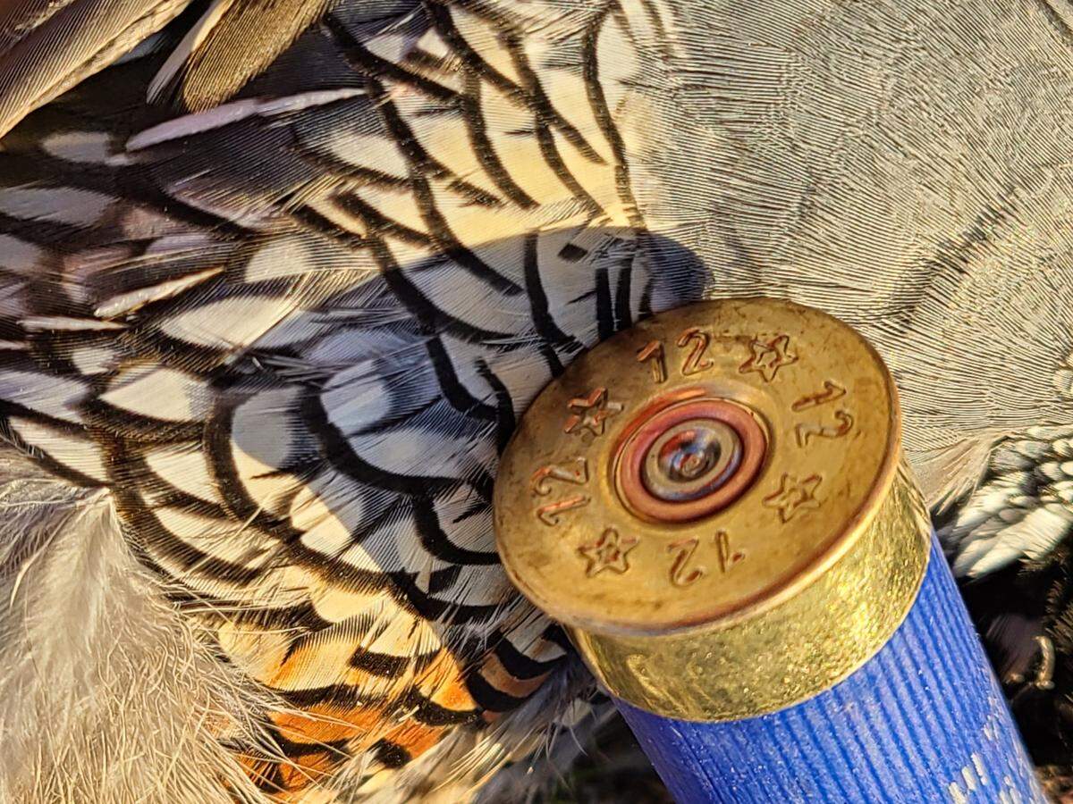 Hunters could be surprised by shortages if they wait until September to buy ammunition for fall seasons.