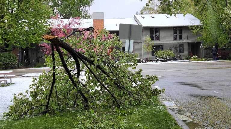 Tree branches litter Boise yards, sidewalks, streets. Who gets called to clean them up?