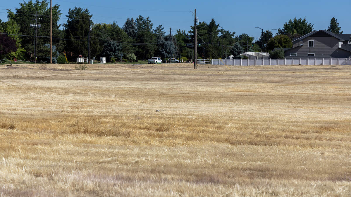 A national home builder’s multifamily arm is eyeing roughly 14 acres of land near the northeast corner of Eagle and Victory roads for a new apartment complex.