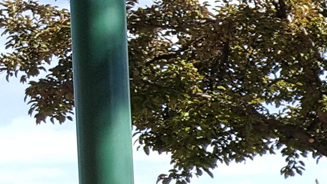Kristin Collum, left, running for lieutenant governor, and Paulette Jordan, running for governor, during an interview at Boise's Grove Hotel May 8, 2018.