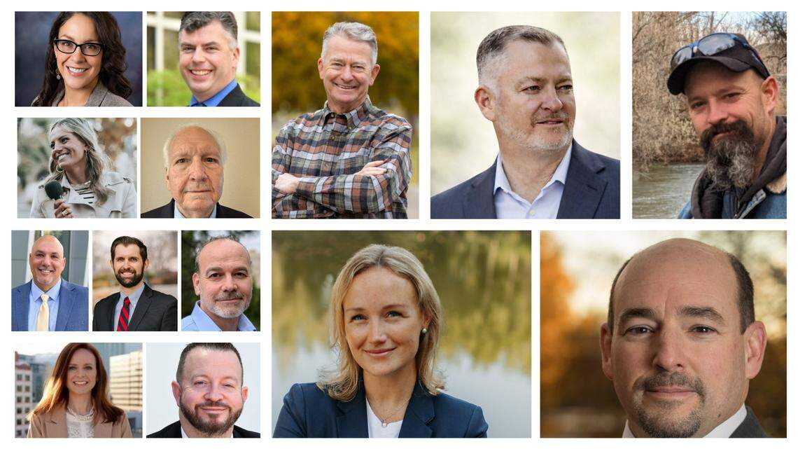 Still undecided? Here are the Idaho Statesman’s primary endorsements | Opinion