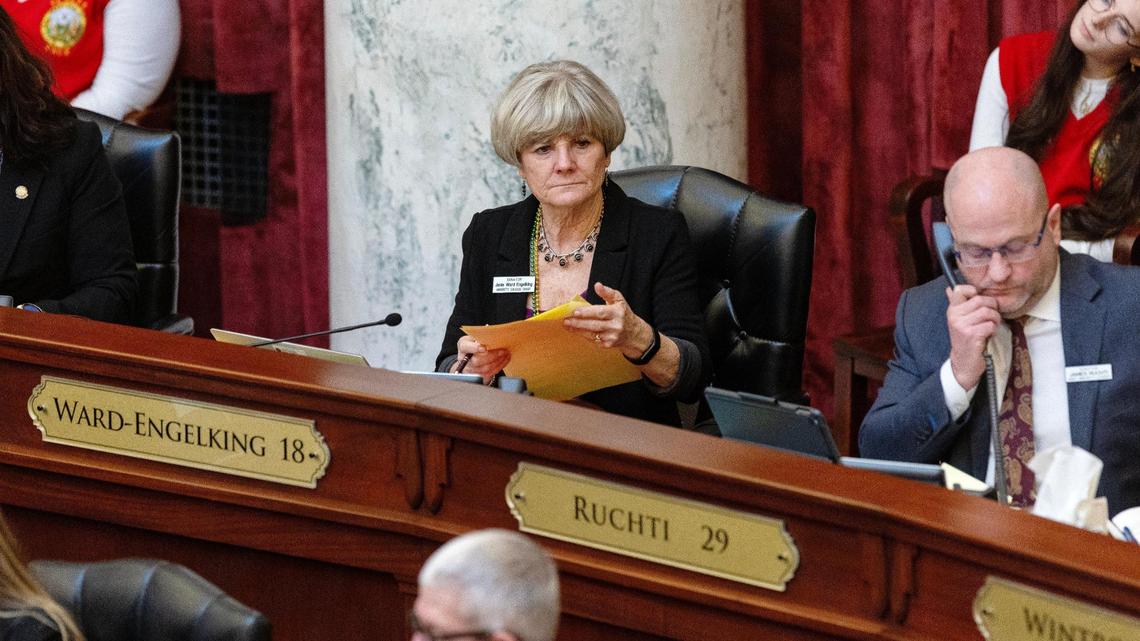 Could Idaho ban ICE agents from wearing masks? What a proposed bill says