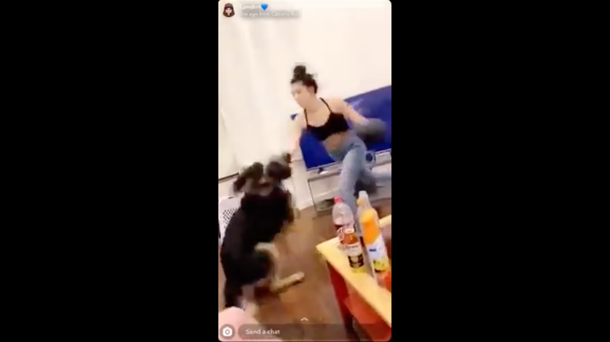 A screenshot from a Snapchat video shared widely on Facebook shows a woman who appears to punch a dog while wearing boxing gloves. The Idaho Humane Society investigated the incident.