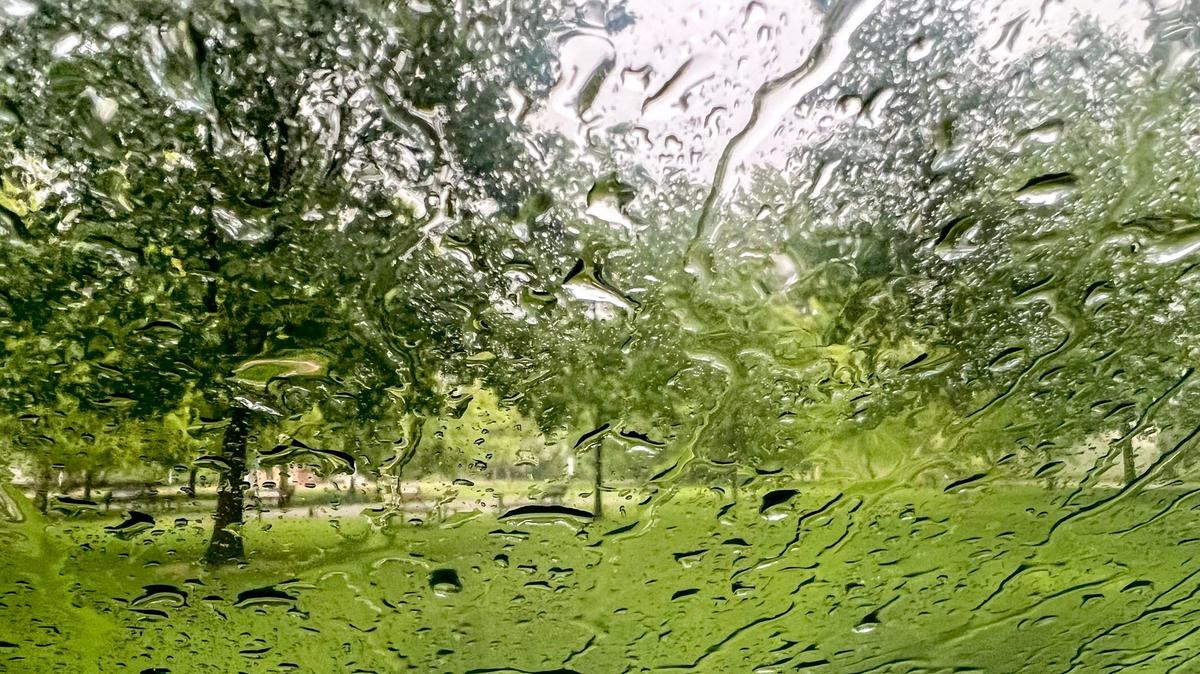 Rain is in the forecast this week.