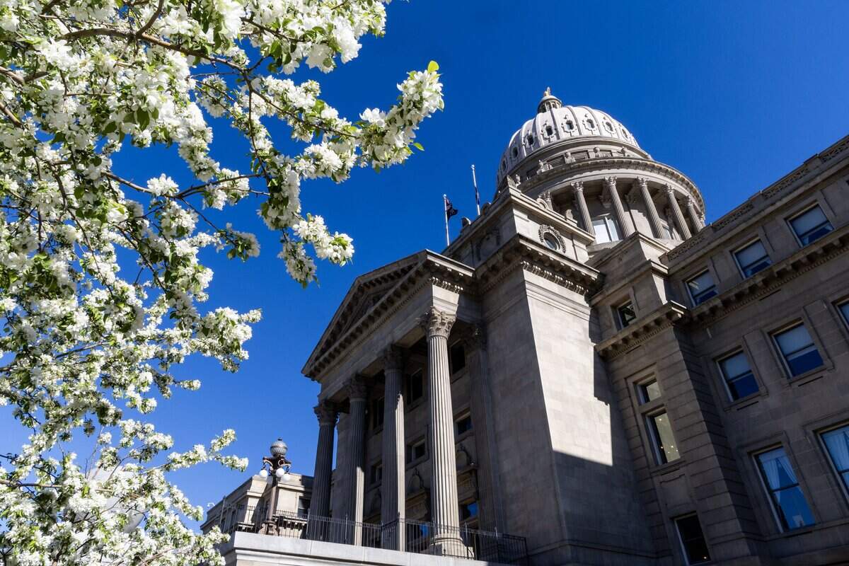 Blossoms herald the arrival of spring at the Idaho State Capitol, Friday, April 3, 2026.