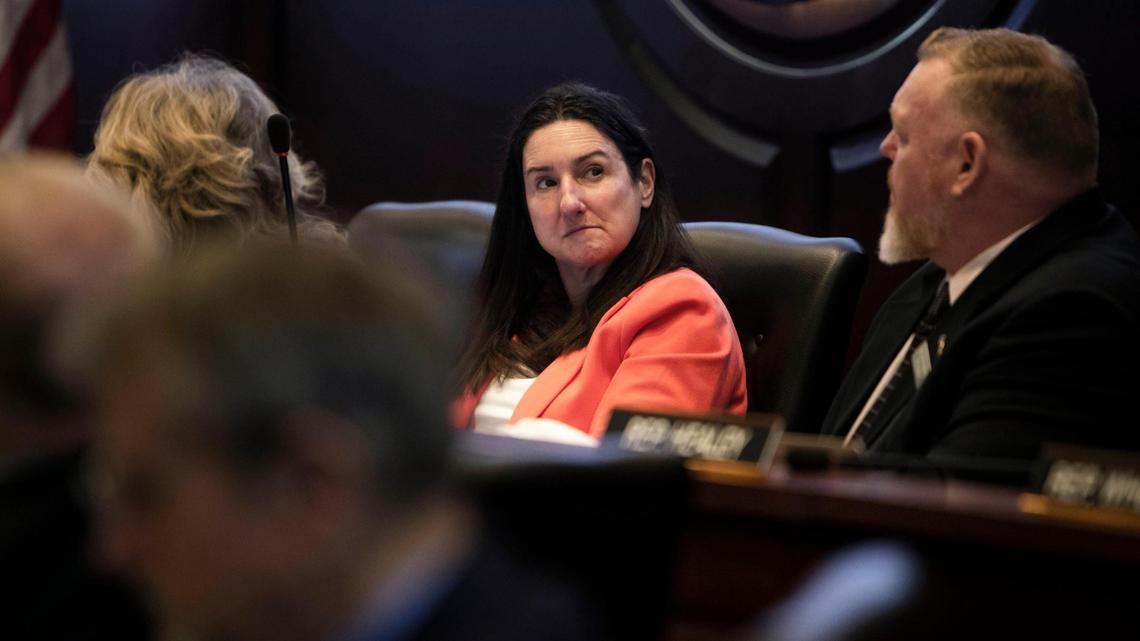 Idaho House Minority Leader Ilana Rubel, D-Boise, said the state's four federal lawmakers, each Republicans, have a lot to answer for after the first two months of President Donald Trump's second term.