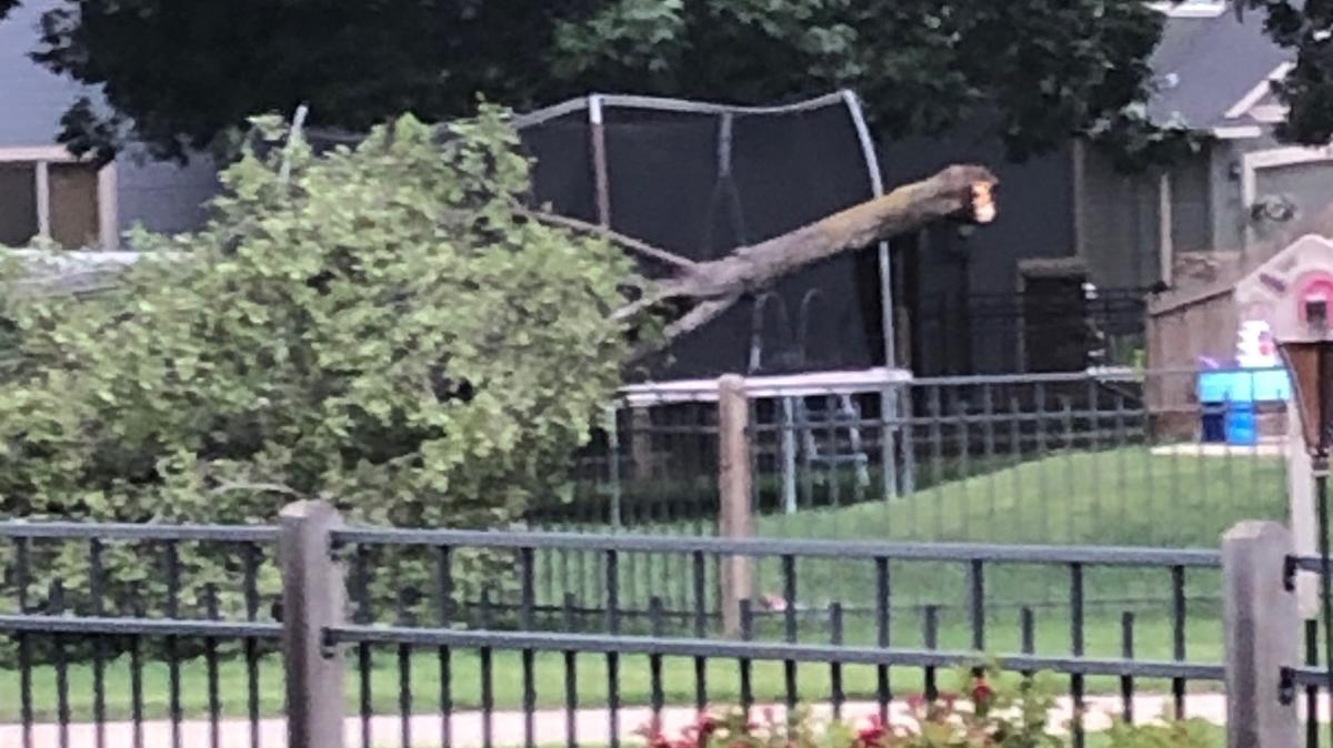 The wind storm that blew through the Treasure Valley on Tuesday evening took out this tree in Meridian.
