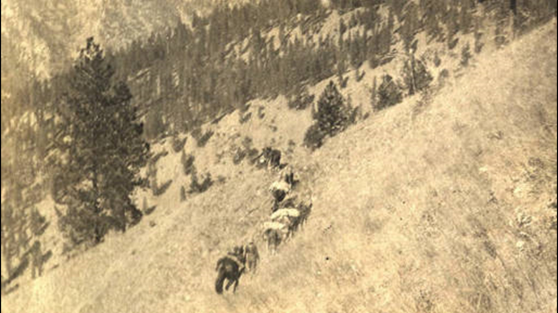 Idahoans are slowly uncovering a 120-year old mining trail in the Frank Church wilderness
