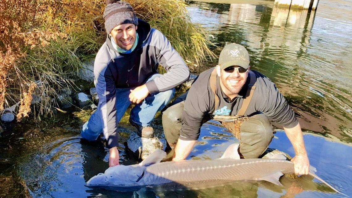 It takes patience, teamwork and a little bit of luck, but landing a big Snake River sturgeon is a one-of-a-kind fishing experience.