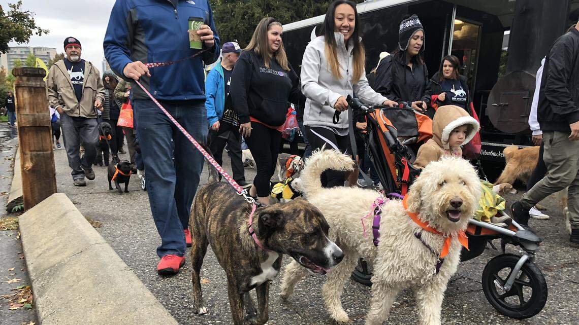 Fun for Fido! See Spot Walk benefit for the Idaho Humane Society is back Saturday